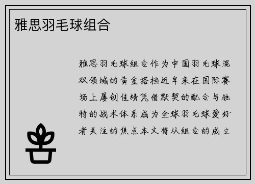雅思羽毛球组合